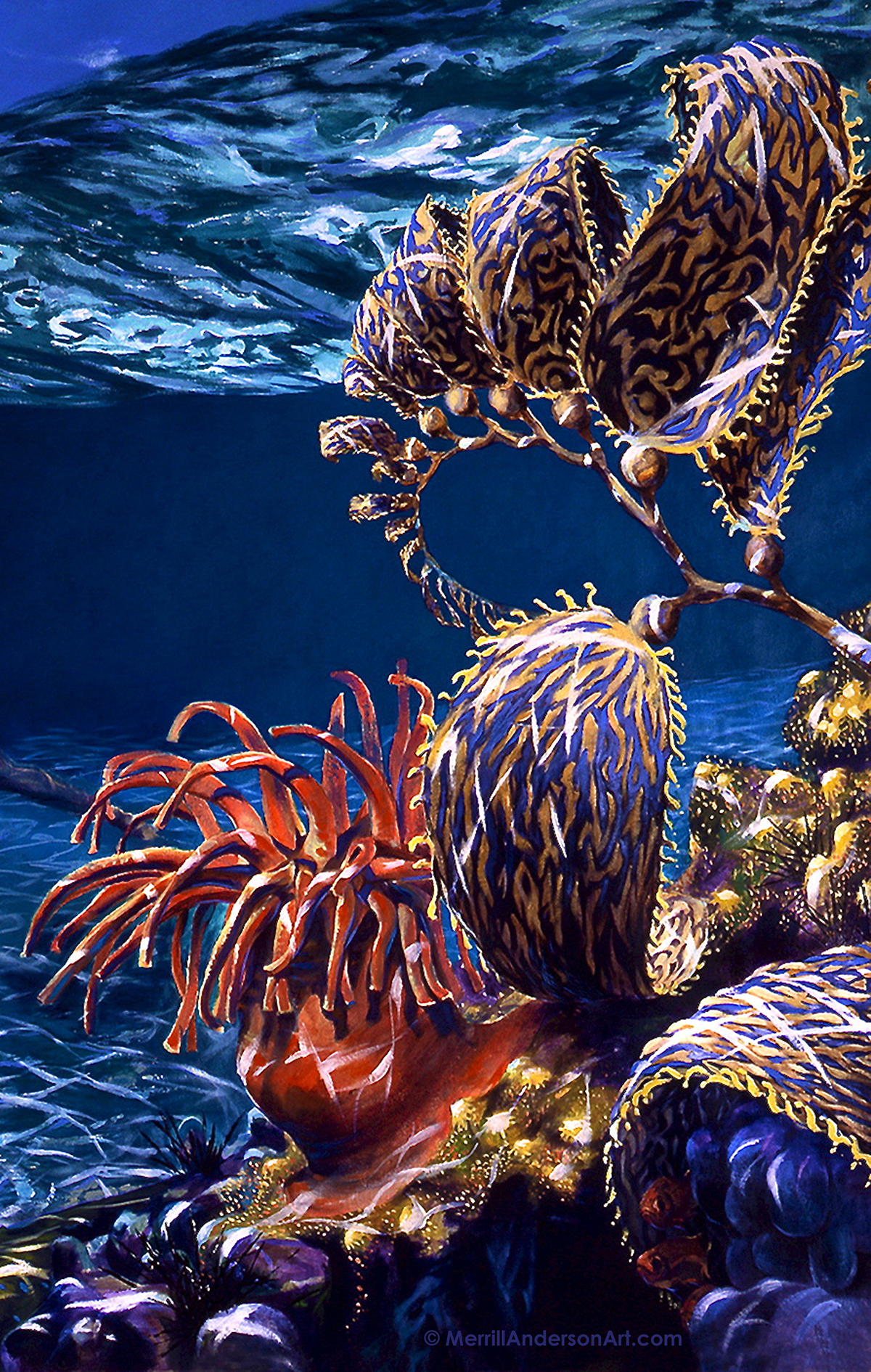 Adobe Portfolio large scale paintings swimming tropics
