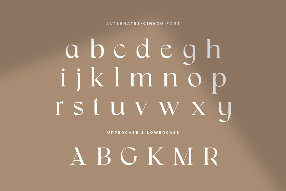 branding font classy font display font elegant font Fashion font Logotype modern font serif type design Typeface