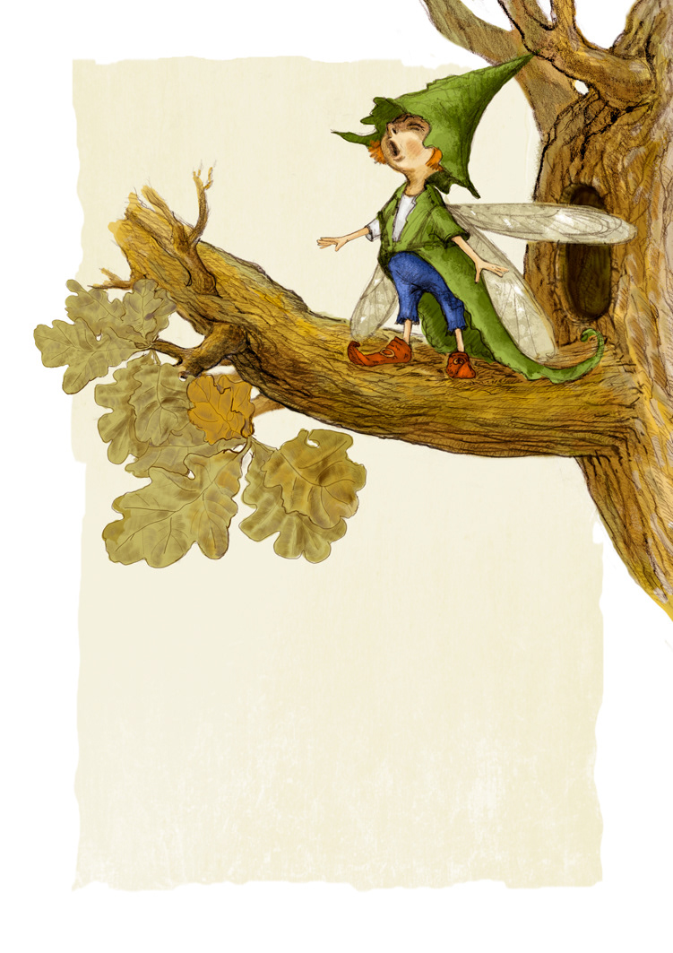 children's book book illustration dwarf children forest