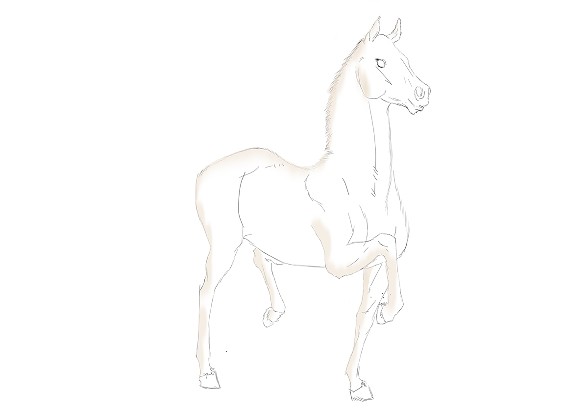 horse horse drawing Horse Sketching horse sketch photoshop digital painting