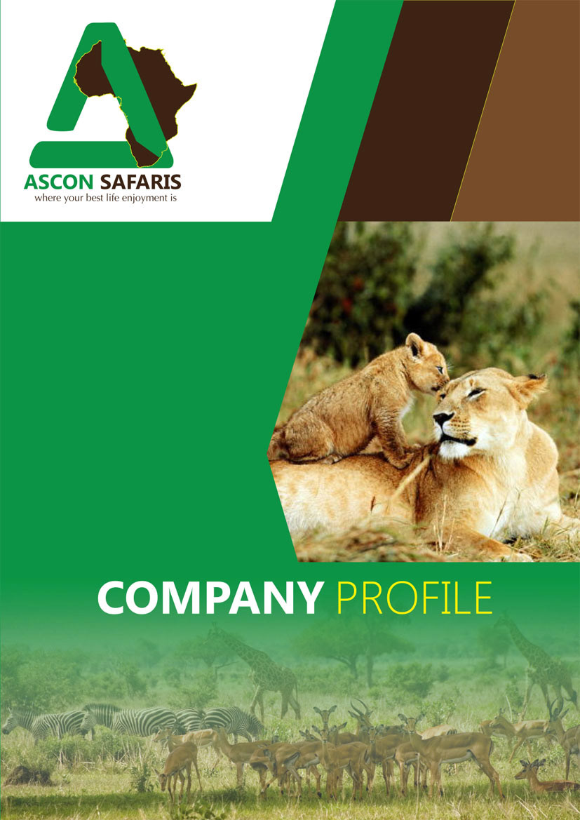 ASCON company design marketing   oletech profile sales tourism