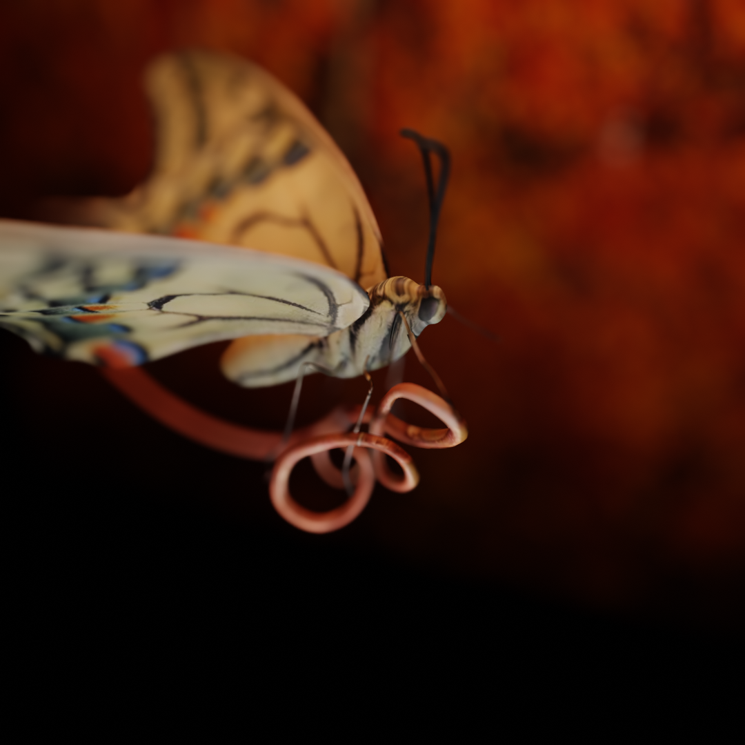 3D 3D Rendering blender butterfly evee render exterior Focus Nature Photography  relastic
