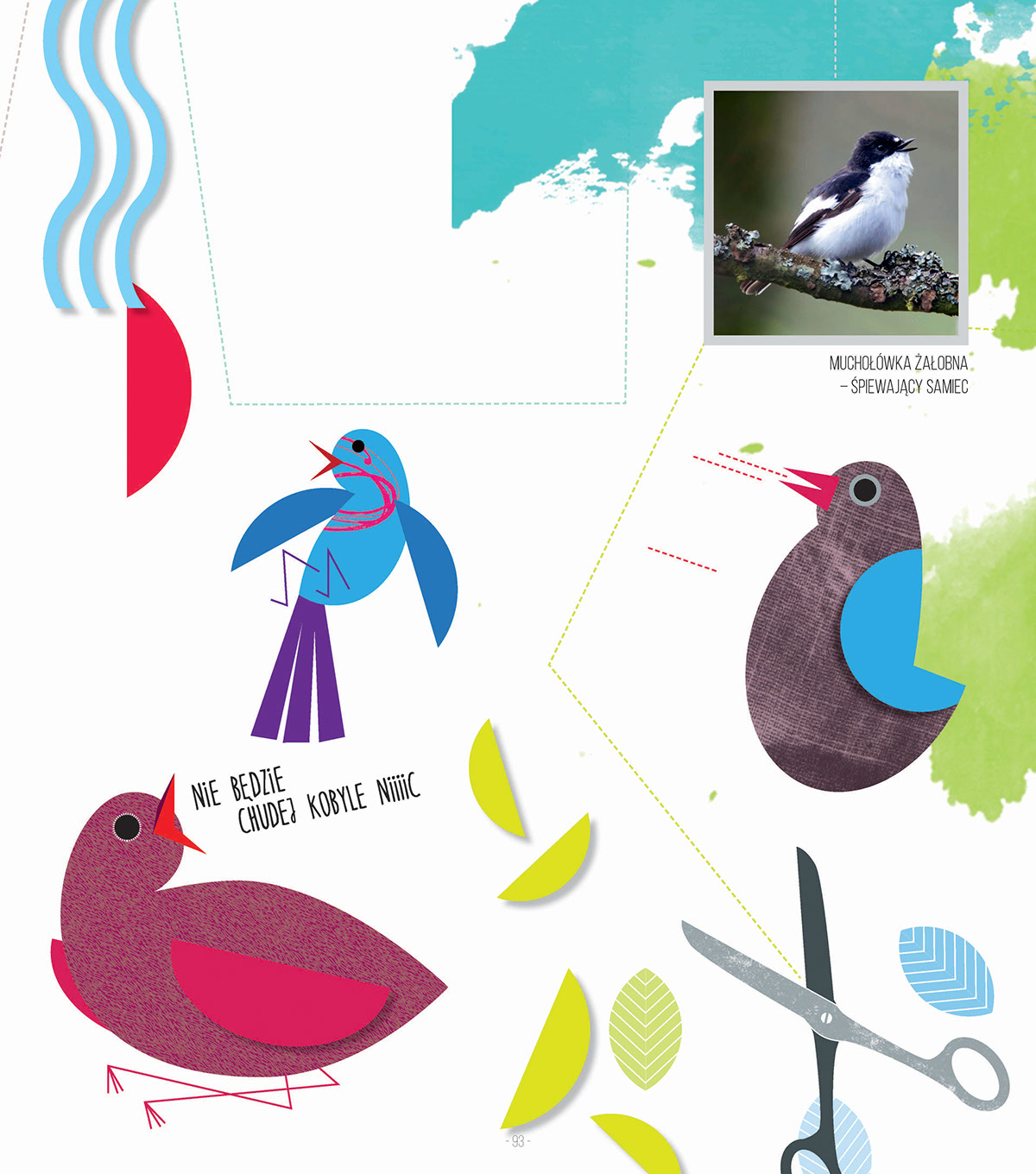 book illustration birds