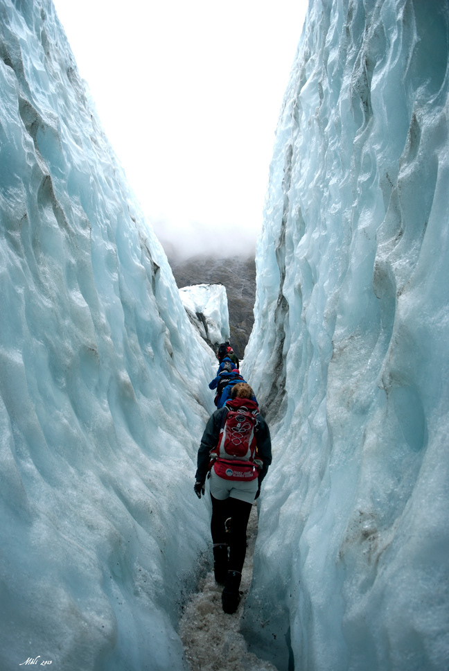 glacier franz joseph Nouvelle-Zélande New Zealand Hike randonnée