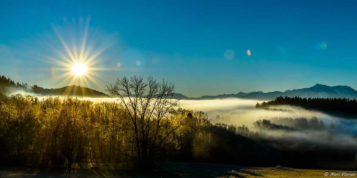 Landscape austria fog Sunny hollyday MORNING