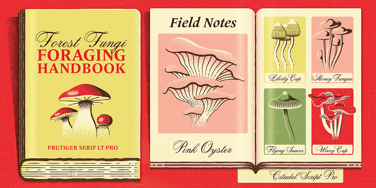 Fairies fairytale field guide folktale fonts forest Magic   type specimens Typeface typography  