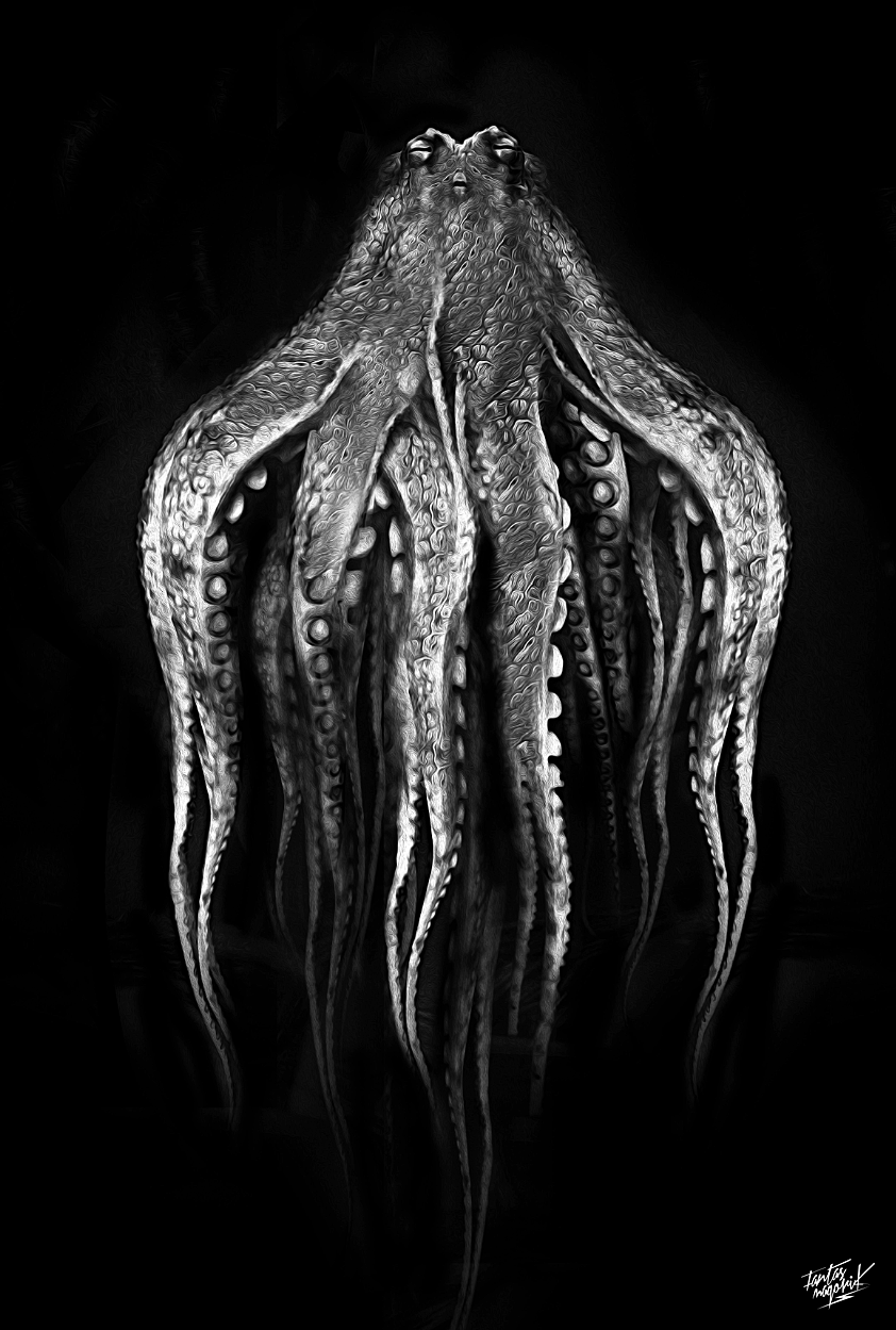 fantasmagorik nicolas obery dark black White fantastic comics octopus poulpe magritte curioos strange iron man