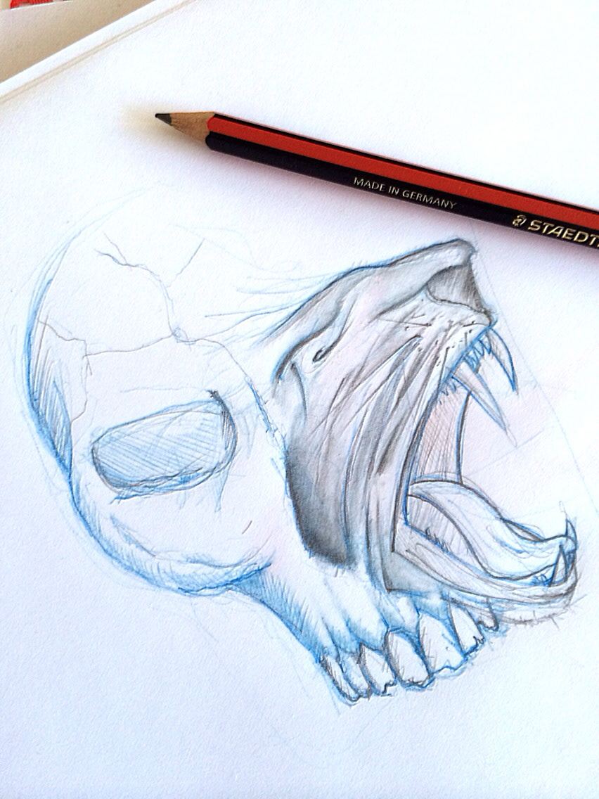 art draw Drawing  sketch skull tigre graphic ILLUSTRATION  artist