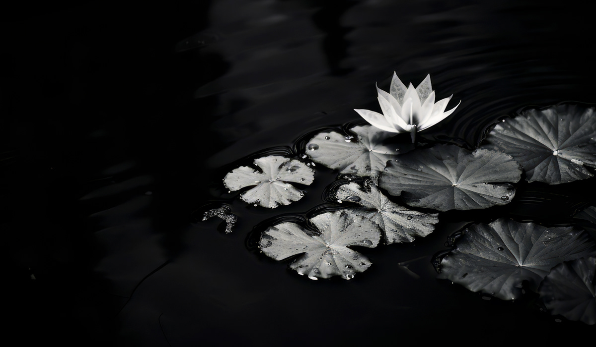 Minimalism Nature black and white water wabi-sabi night