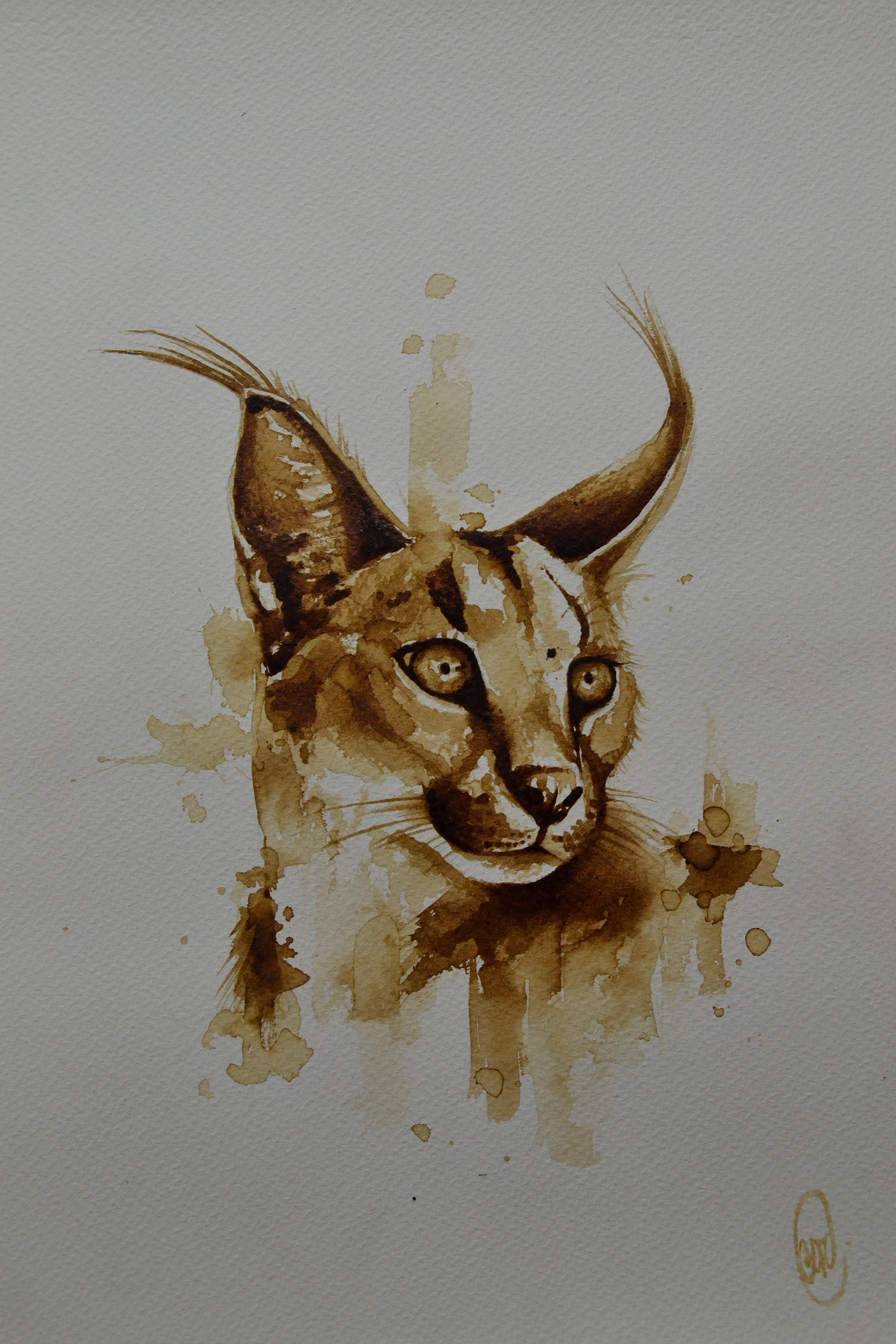 cafe Ilustración pintura arte artcoffee coffeeart animales animal dibujo