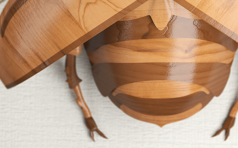wooden beetle Nature Maya 3D print framed vray children