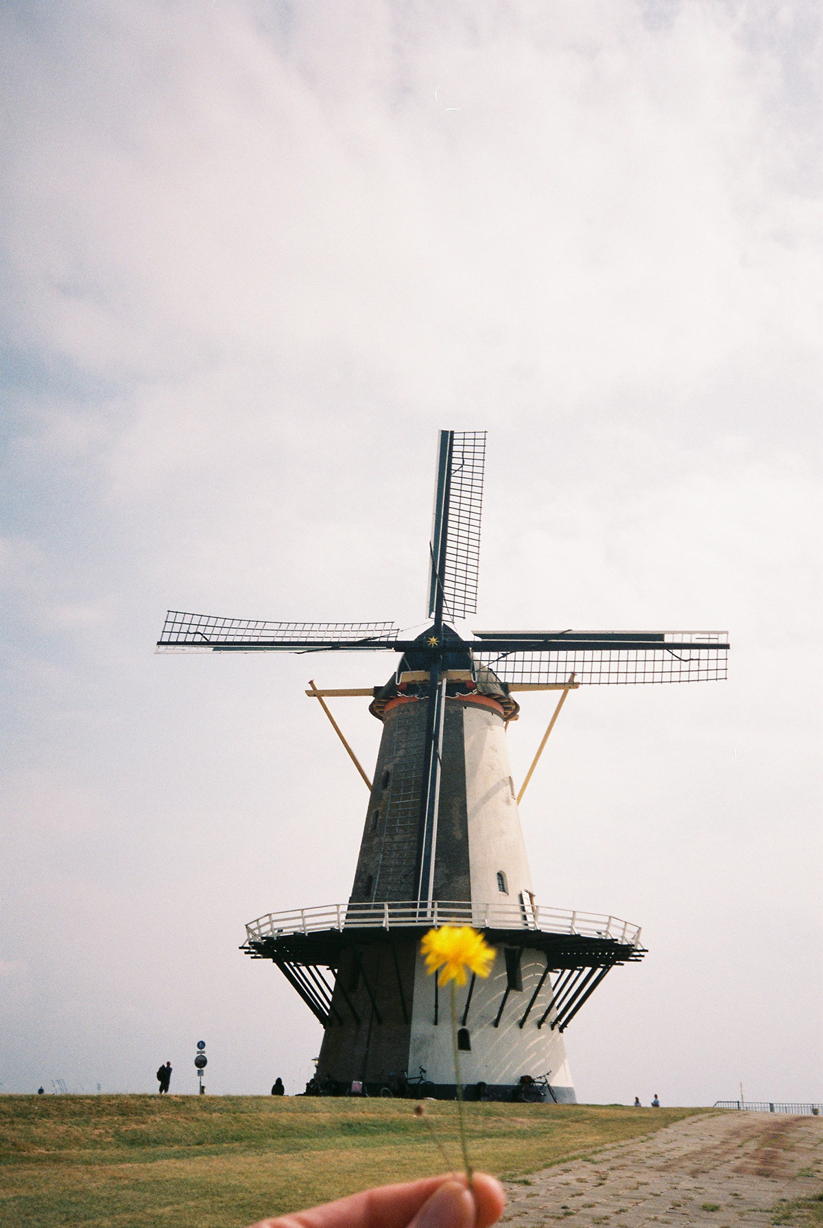 35mm analog Netherlands olympus Photography  summer vacay Zeeland Adobe Portfolio