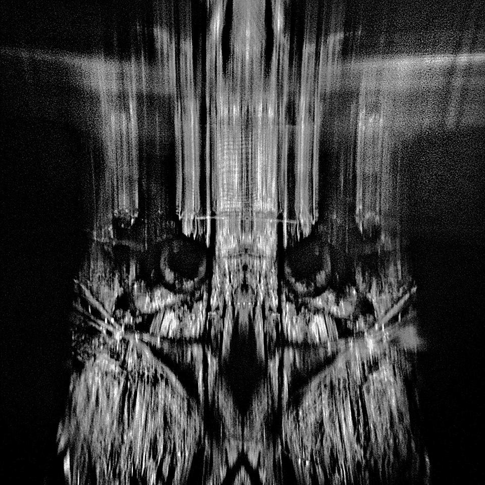 skull owl dark black gothic davidovsky symbolism surrealism