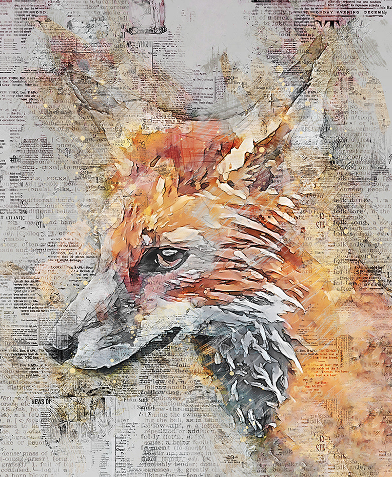 Fox - collage on Behance