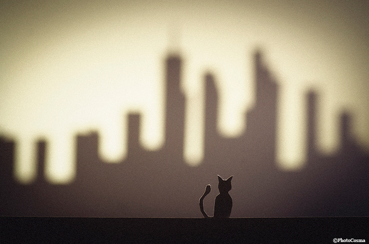 noir city Silhouette cutout dark mood scene Urban night twilight atmosphere macro Landscape film noir paper