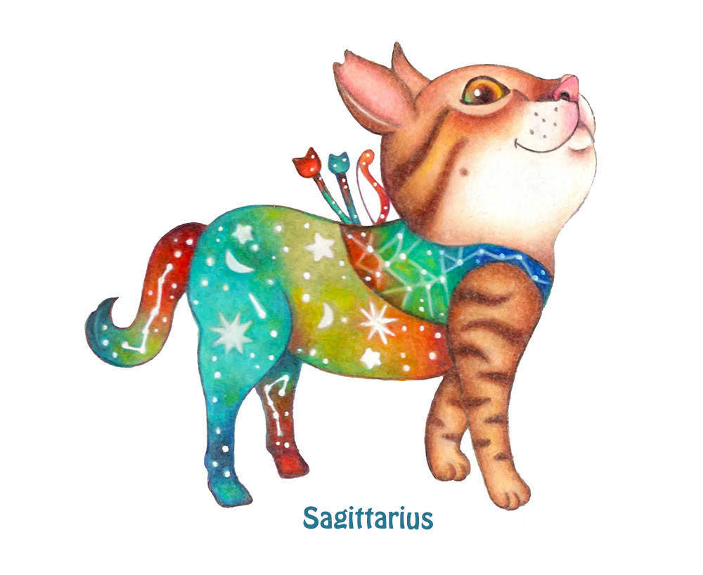 Horoscope zodiac Astrology zodiac signs Character design  stars moon sagittarius