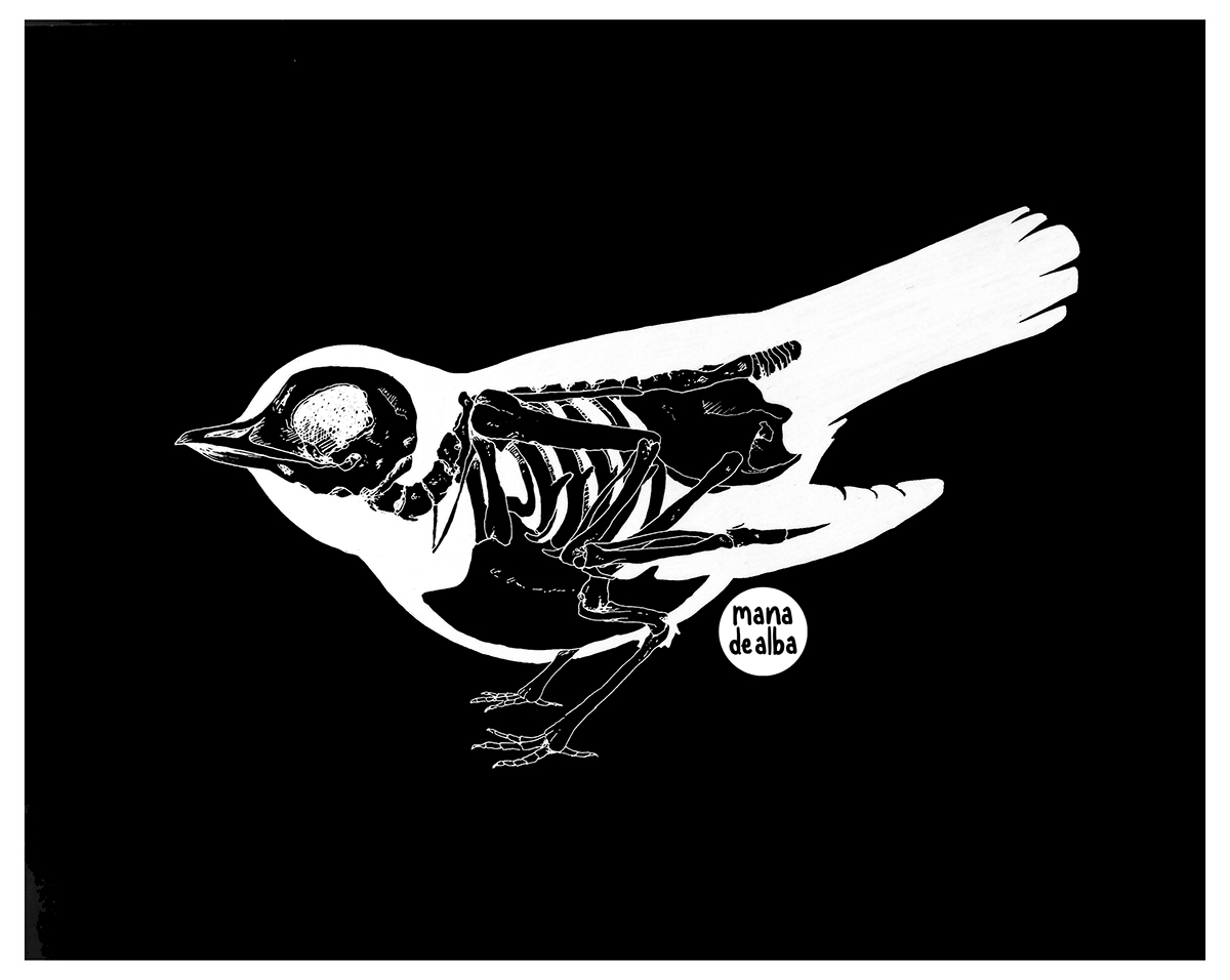 tatoo tatoo desing bird bone skeleton bones anatomical pajaro Fly creepy