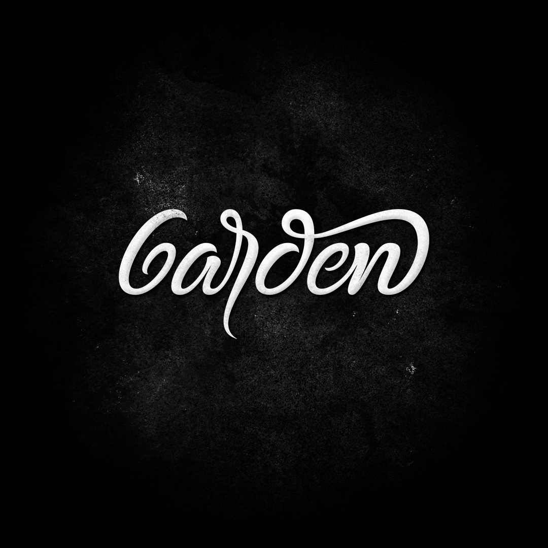 lettering hand-draw hand-writing Custom logo Logotype brushlettering typography   Script letters