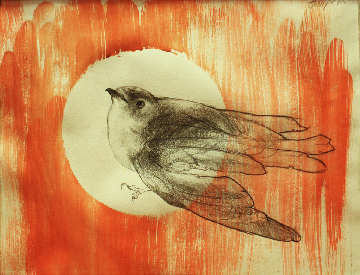 birds animals pencil watercolor hands