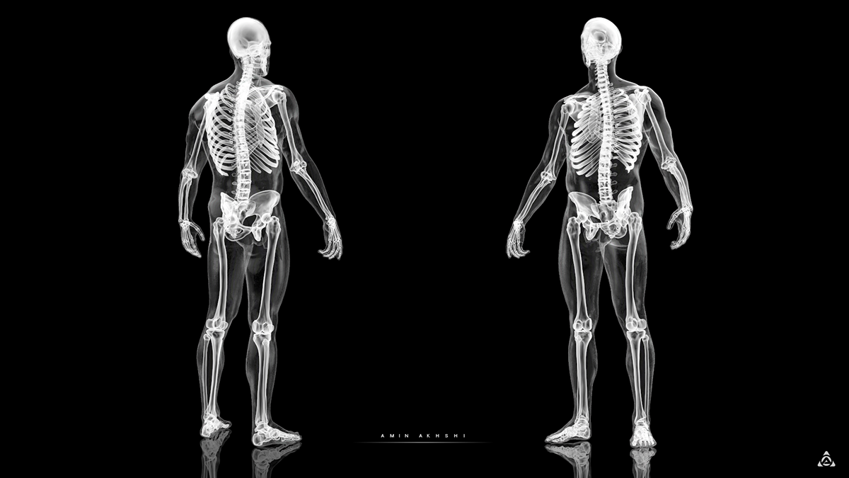 anatomy HumanSkeleto skull x-ray malebody  bone