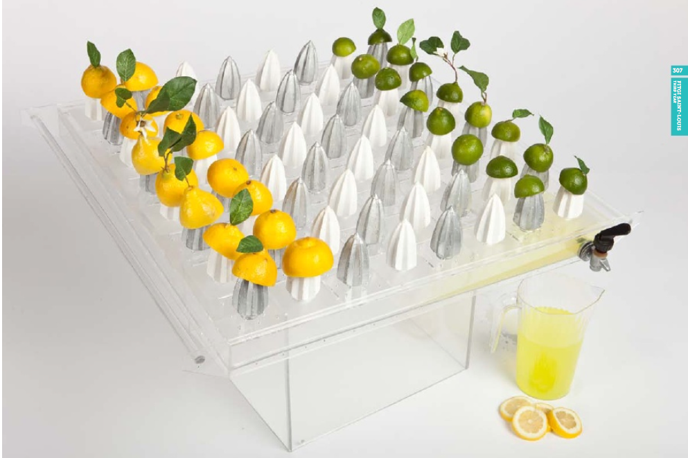 lemon lime chess juice sculpture art