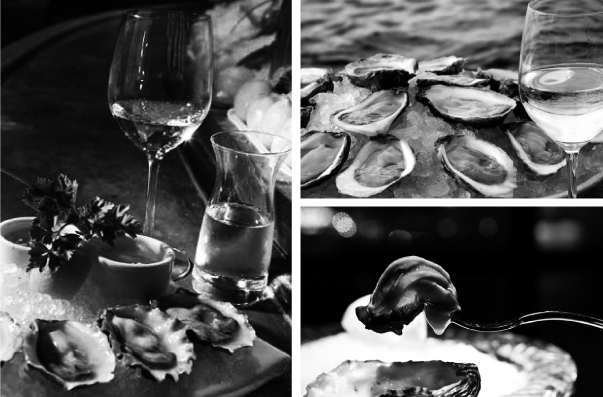 wine oyster fagulha Portugal lisboa almada lines minimal oysters brand indentity bodoni wine chique package wine sea oyster sea Ocean