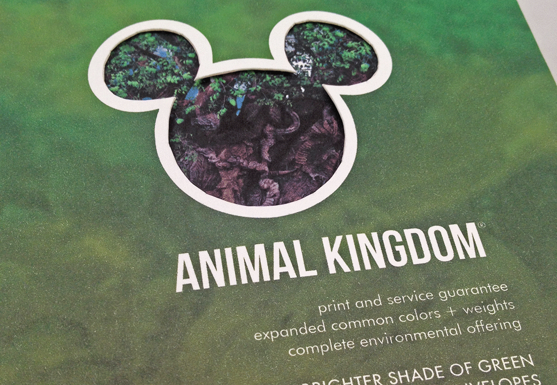 neenah swatchbook disney world magic kingdom Animal Kingdom Downtown Disney Hollywood Studios epcot