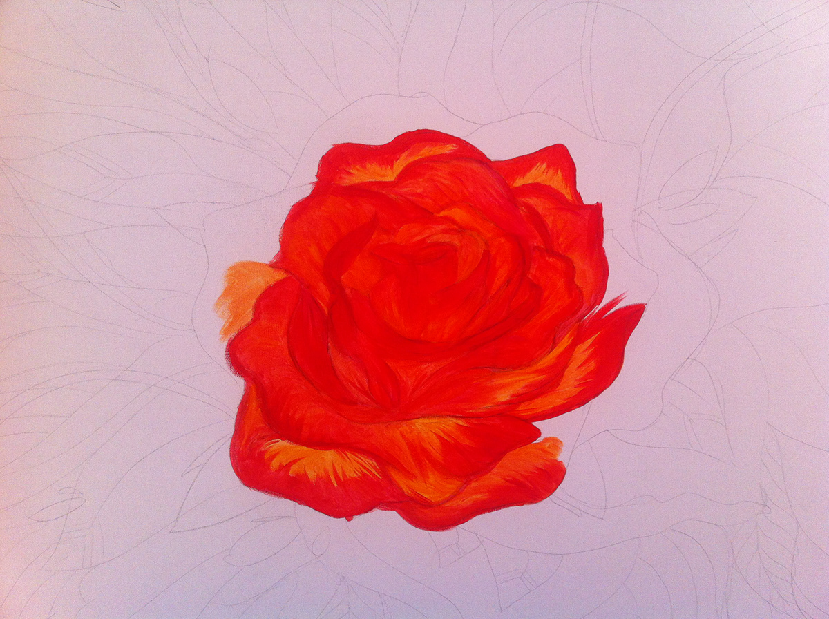 rosa flor rose
