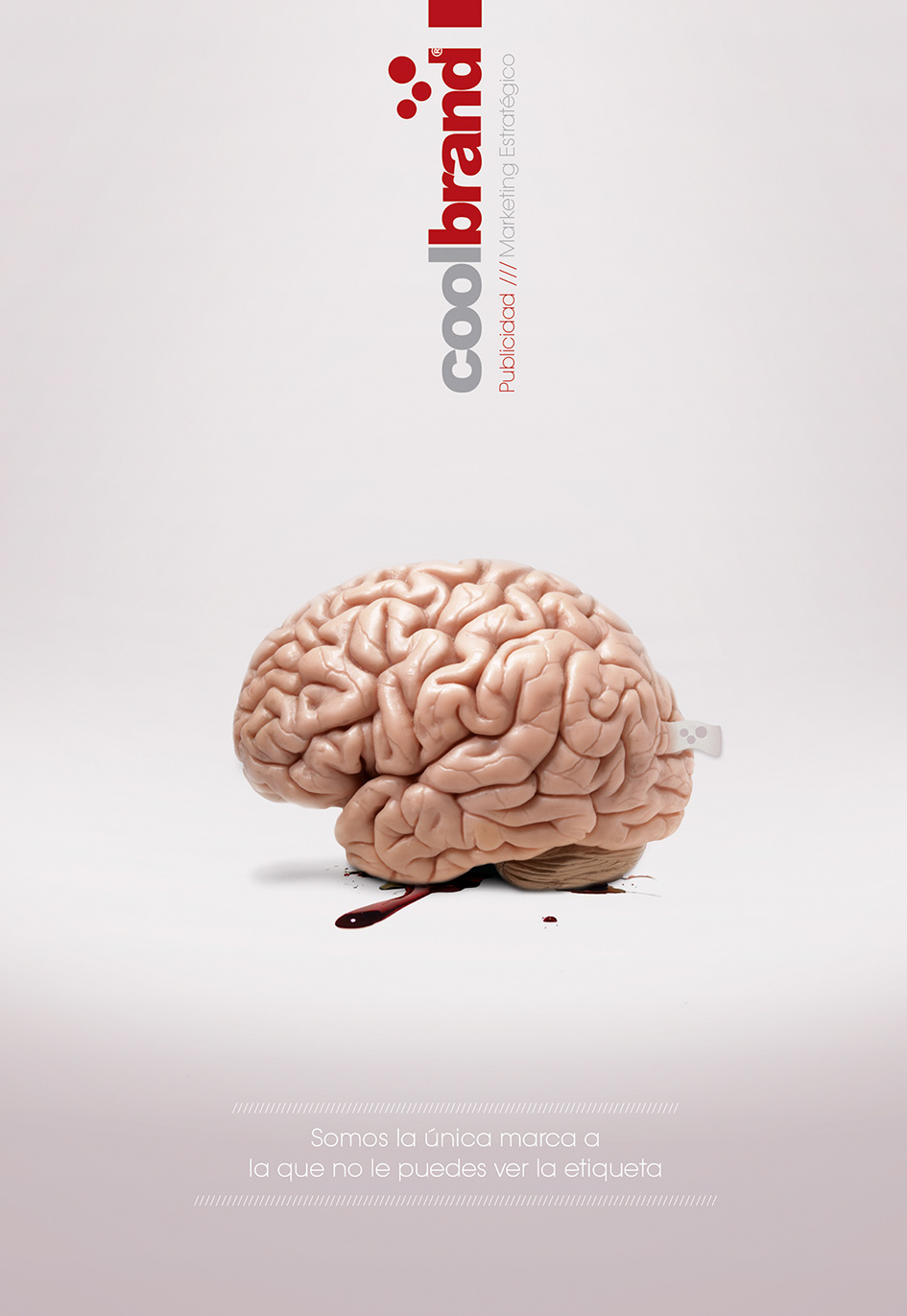 agency coolbrand strategic marketing   brain idea cool blood fresh new creative ad Label brand