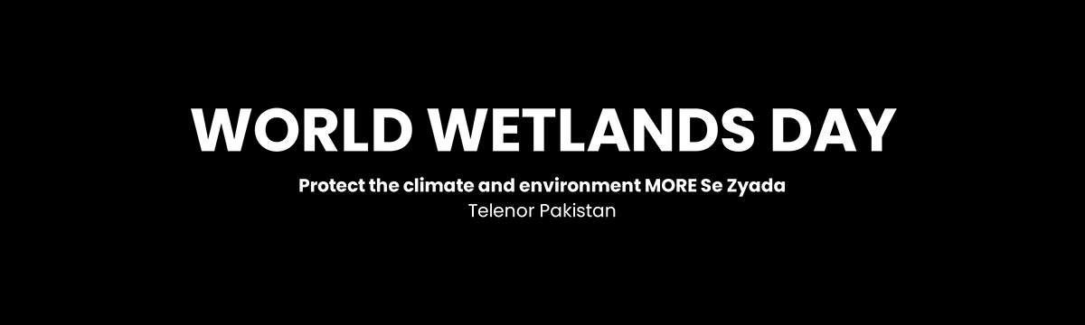 Telenor pakistan environment Digital Art  ILLUSTRATION  Graphic Designer Brand Design marketing   Advertising  brand identity World Wetlands Day