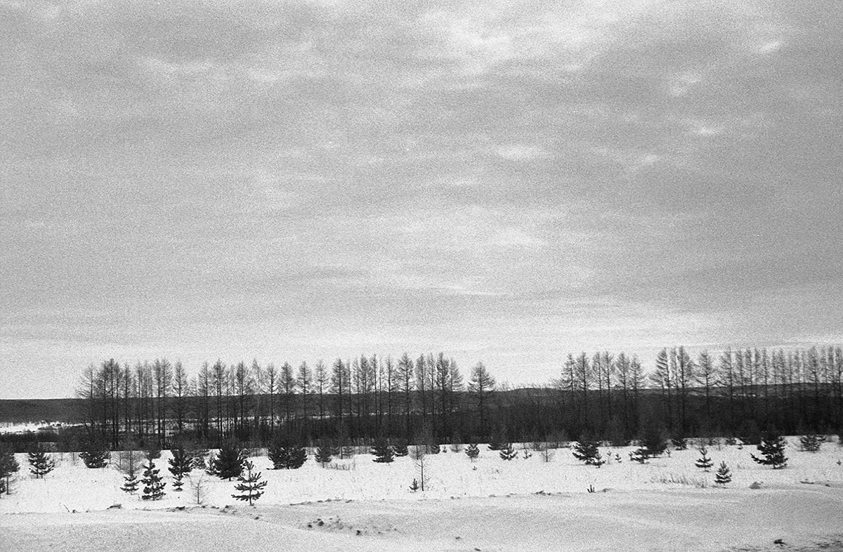black and white Landscape melancholia the Urals field forest Nature winter