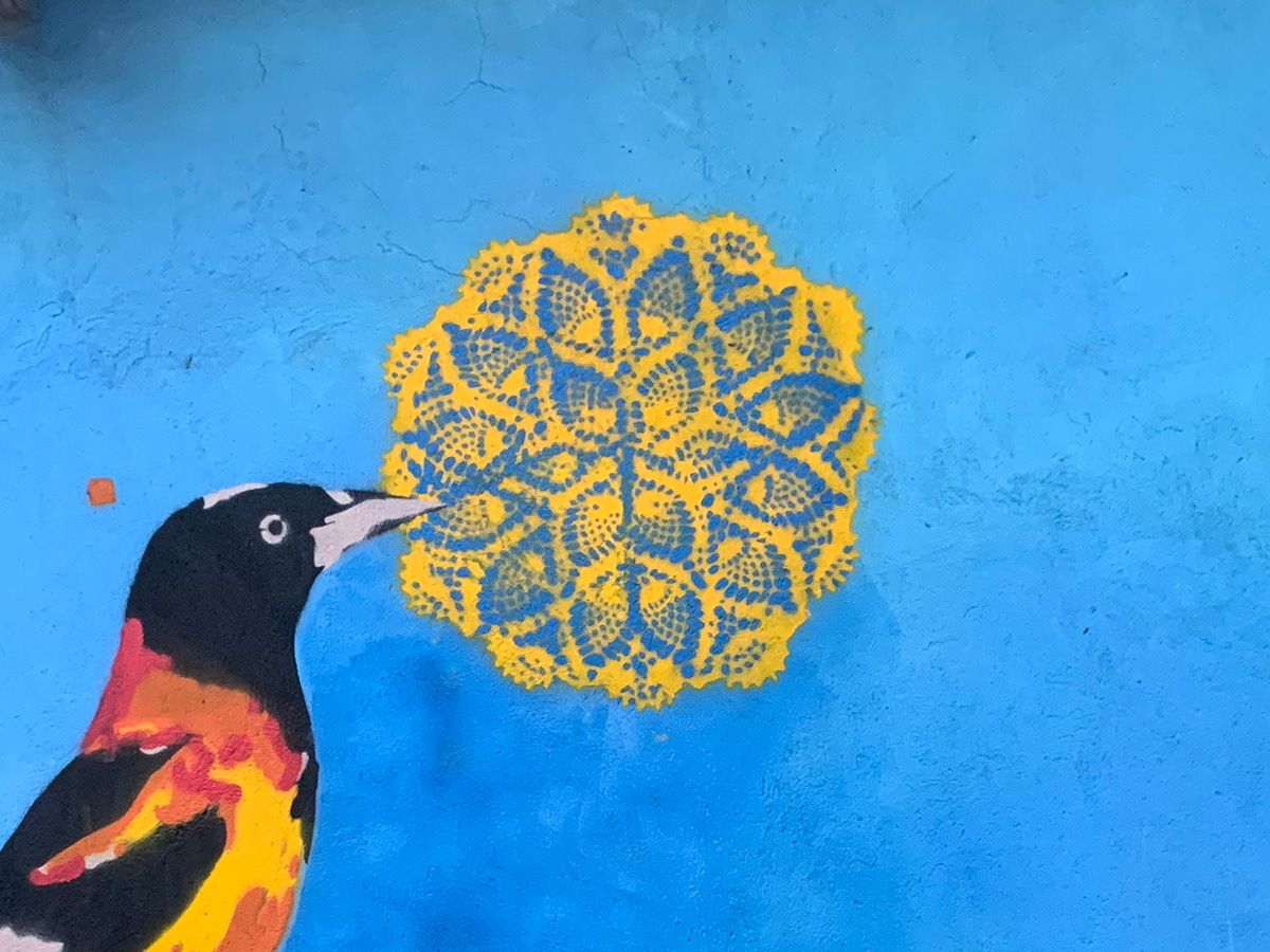 #mural bird Brazil Brasil nordeste pássaro Landscape Muralism stencil