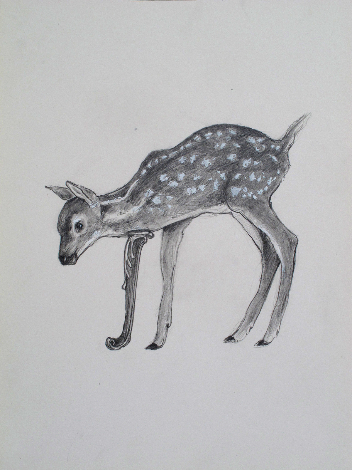animals dometic graphite watercolor