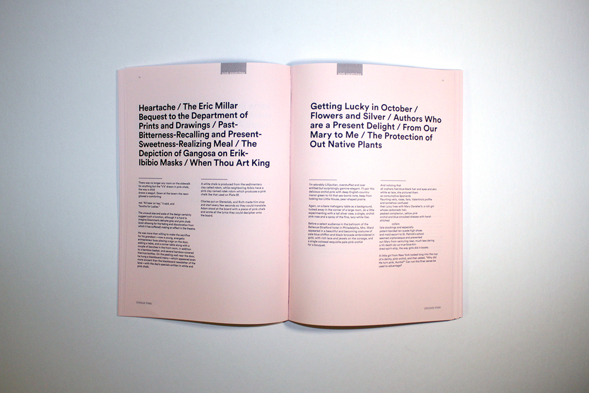 Adobe Portfolio book design pink degree project risd writing 