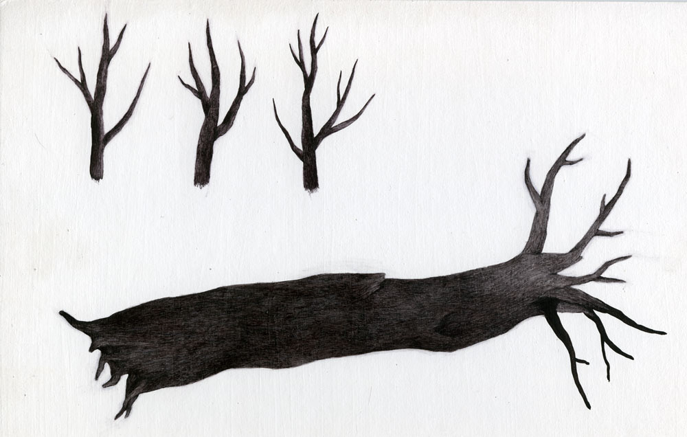 Art Director anna karpova animation film dmitry geller Tree  Whale boy Nature background leaves