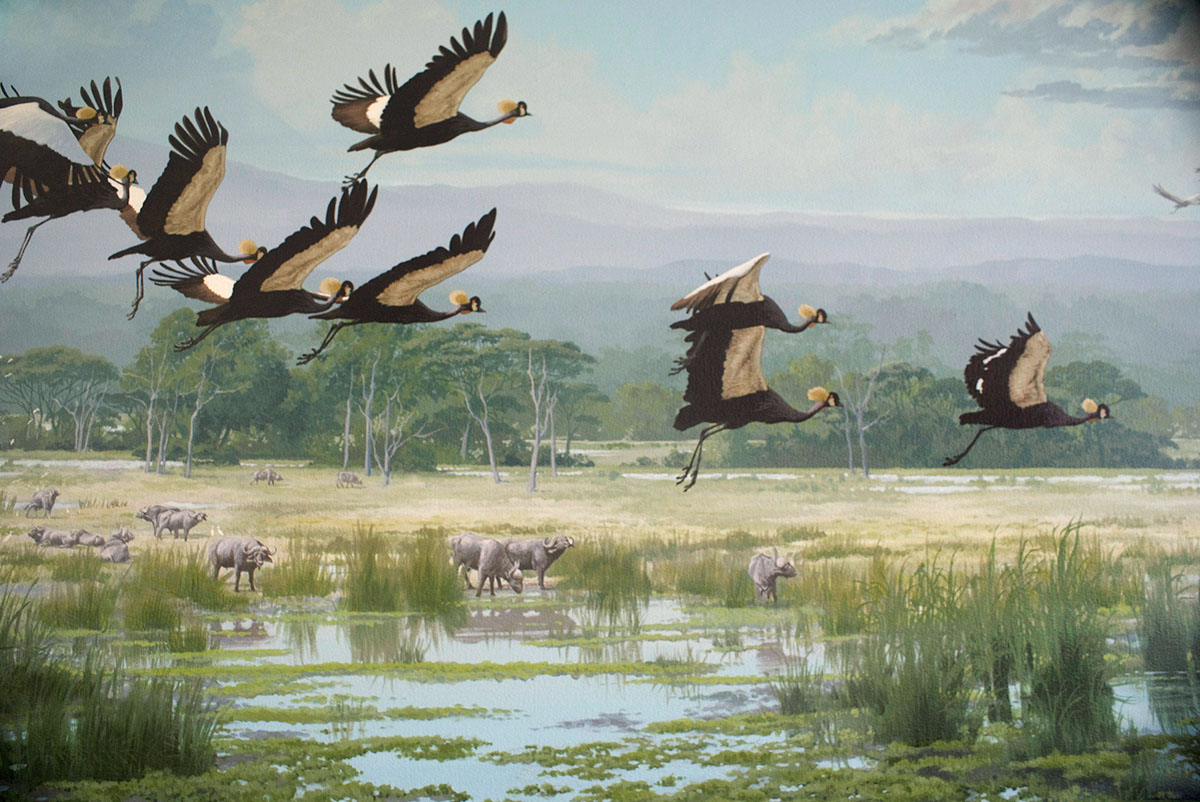 Mural africa cranes wildlife Landscape