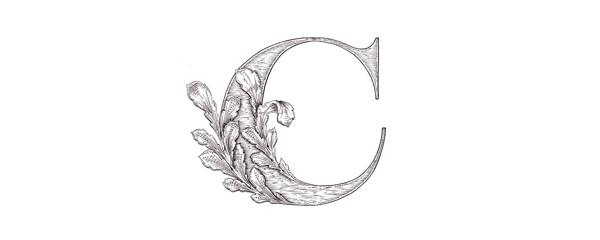 typography   lettering alphabet Acanthus anotheroutsider