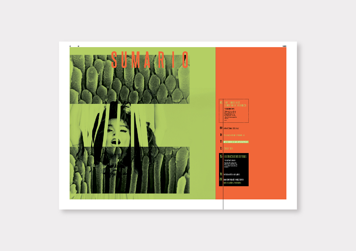 bjork fadu uba Gabriele editorial fasciculo Hacedores de Mundos coleccionable design magazine tipografia diseño 2