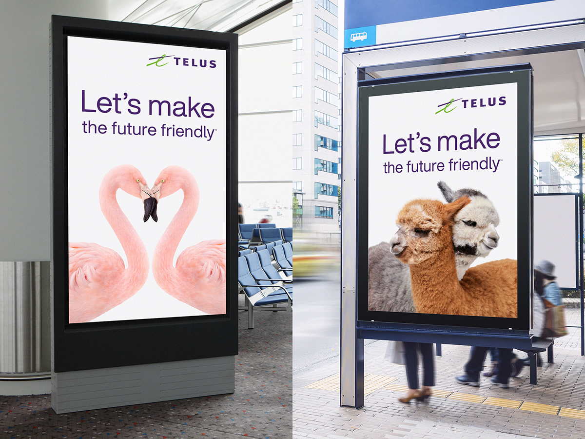 Alpacas billboard brand launch critters LMTFF OOH telco Telus TheGreenhouse TSA