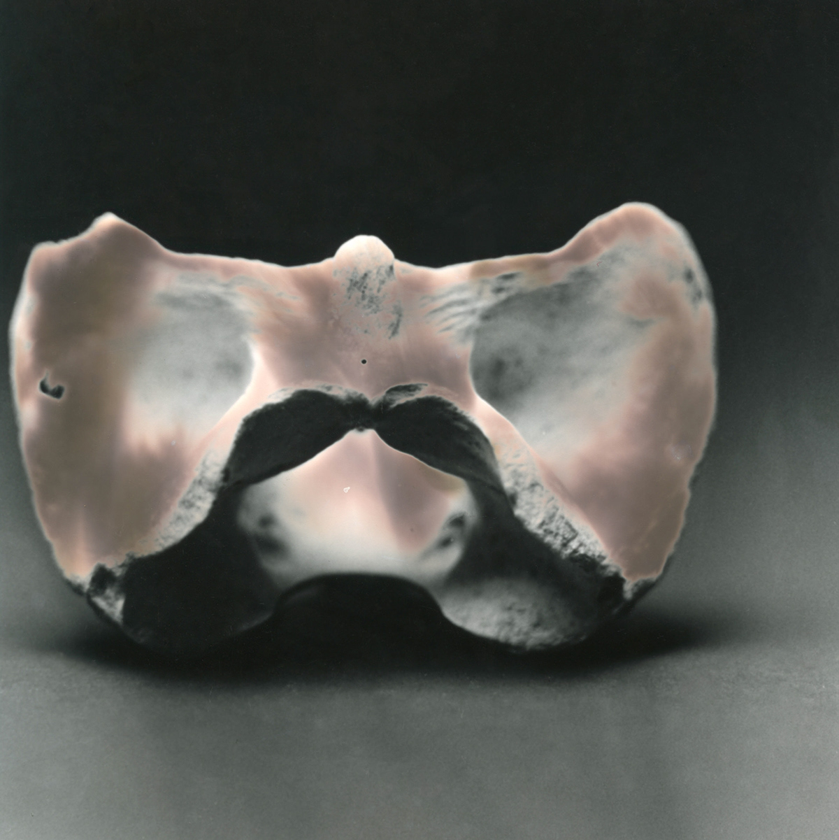 chromoskedasic sebatier film photography bones black and white