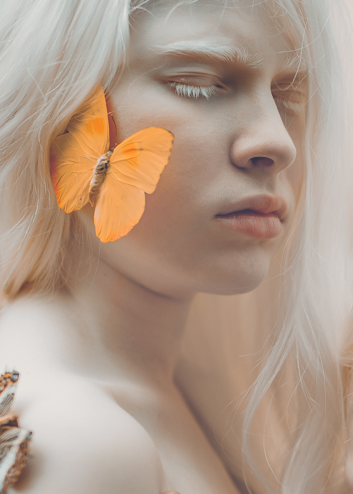 Albinism portrait butterflies Photography  details dream Love Sisters skin spring