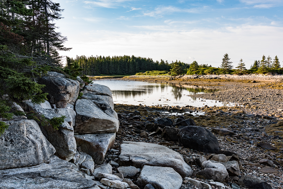 sea acadia Maine water Ocean rocks National Park united states Nature Outdoor