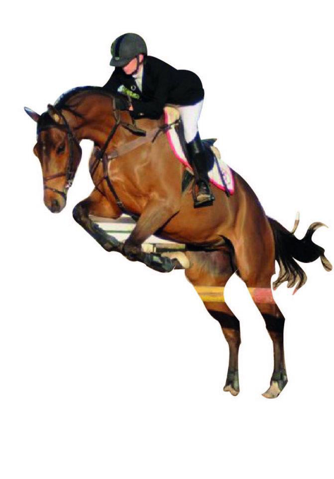 caballo equitación olimpiadas 2012olympics mexico