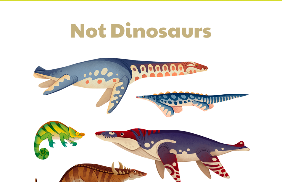 #sciart animal art animal illustration Dinosaur evolution infographic natural history paleoart paleontology pterosaur
