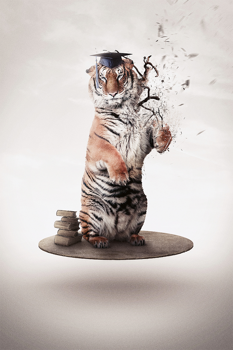 tiger bear animal splash elias klingen eliasklingen Sweden retousching retousch effect digital art