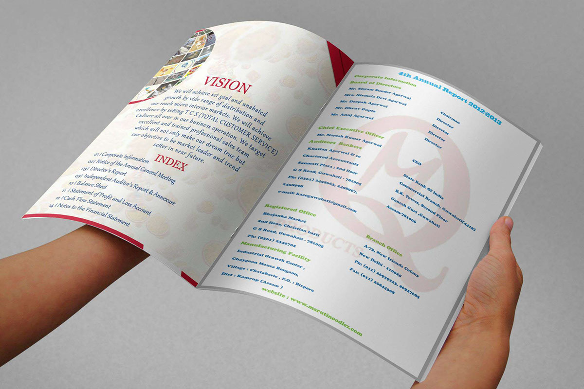 annual report brochure corporate infographic catalog India The Creaticity