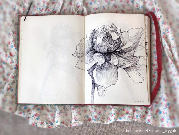 graphic Flowers botanic sketch sketchbook art photo