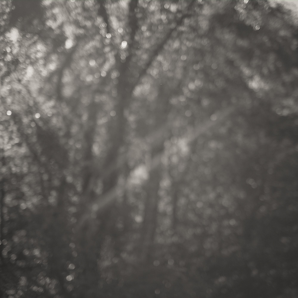 photography fine art chinnery Steam train woodland summer soft blur blurred bokeh diffused Mono monochrome black and White