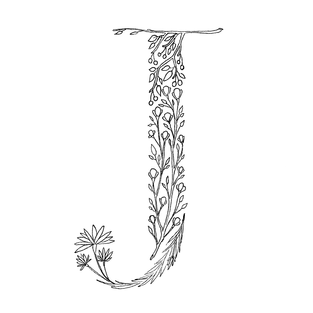 floraltype alphabet Typeface lettering ILLUSTRATION  letter flower crisuitcase Cristina Alcalde 36daysoftype