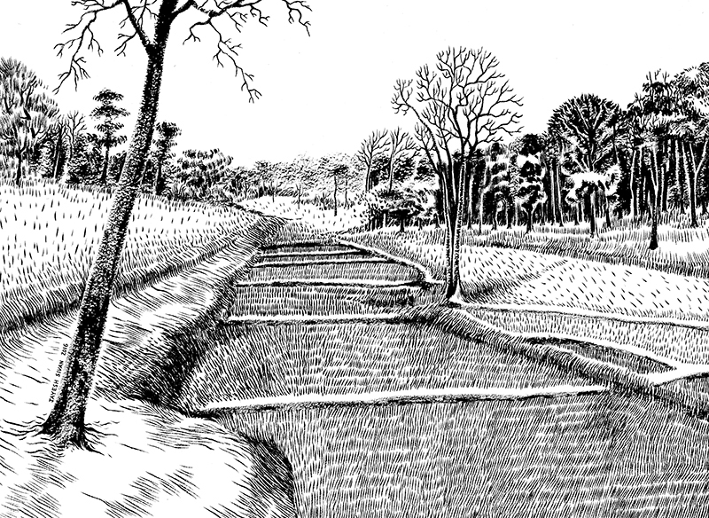 nature drawing landscape drawing Ink and brush indian illustrator kerala illustrator illustrator south india outdoor drawing